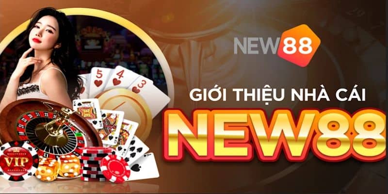 Điều kiện điều khoản giúp New88 trở thành một trong những trang cá cược uy tín 