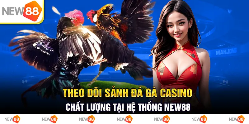 Theo dõi sảnh đá gà casino chất lượng tại hệ thống new88