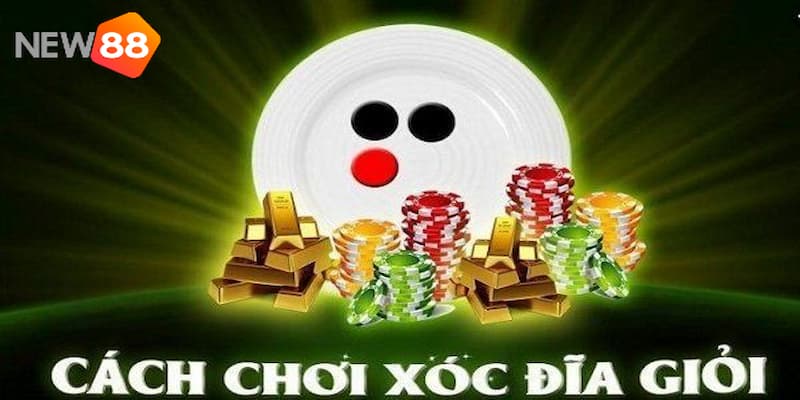 Cách chơi xóc đĩa chuẩn xác nhất 2024 cho người mới 2 Cách chơi xóc đĩa chuẩn xác bạn nên nắm bắt