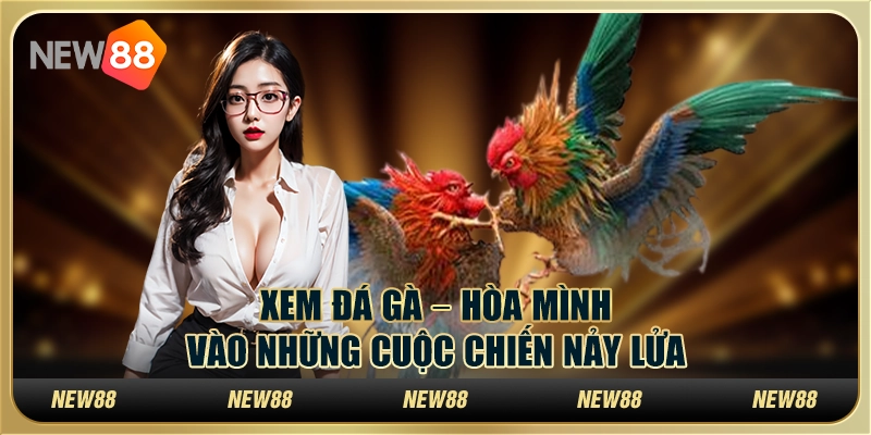 Xem đá gà tại New88 – Hòa mình vào những cuộc chiến nảy lửa