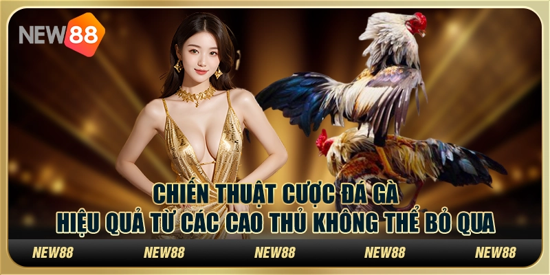Chiến thuật cược đá gà hiệu quả từ các cao thủ không thể bỏ qua