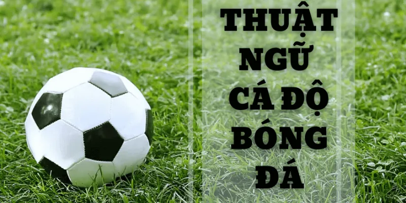 Tìm hiểu các thuật ngữ cá độ bóng đá phổ biến nhất 2 Lợi ích khi hiểu rõ các thuật ngữ cá độ bóng đá
