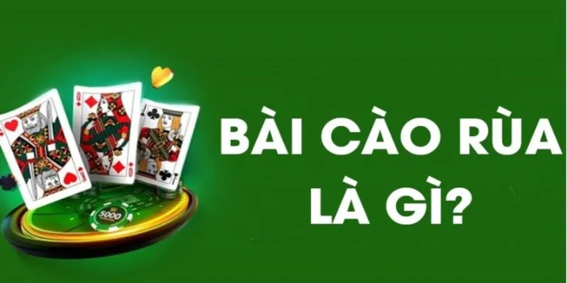 Tất tần tật về bộ môn cá cược bài cào rùa