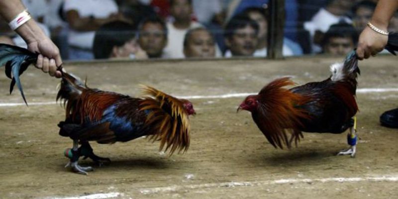 Tận dụng bí quyết để thắng lớn
