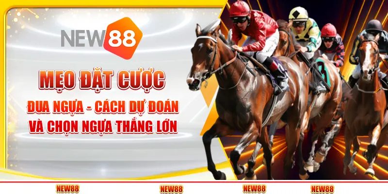 Mẹo đặt cược đua ngựa - Cách dự đoán và chọn ngựa thắng lớn
