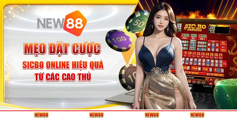 Mẹo chơi sicbo online hiệu quả từ các cao thủ 1 Mẹo chơi sicbo online hiệu quả từ các cao thủ