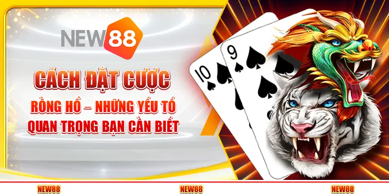 Cách đặt cược Rồng Hổ – Những yếu tố quan trọng bạn cần biết 1 Cách đặt cược Rồng Hổ – Những yếu tố quan trọng bạn cần biết