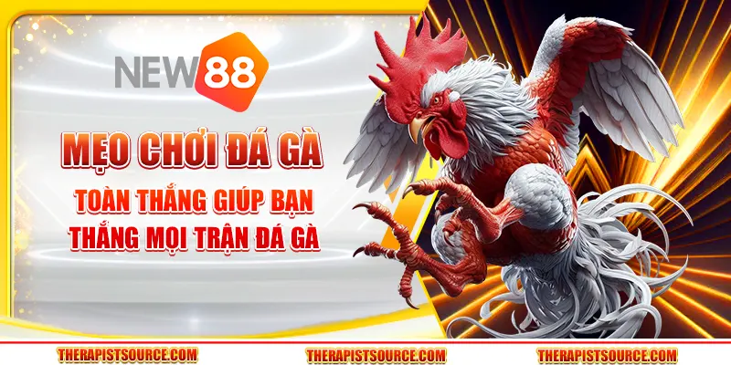 Mẹo chơi đá gà toàn thắng giúp bạn thắng mọi trận đá gà