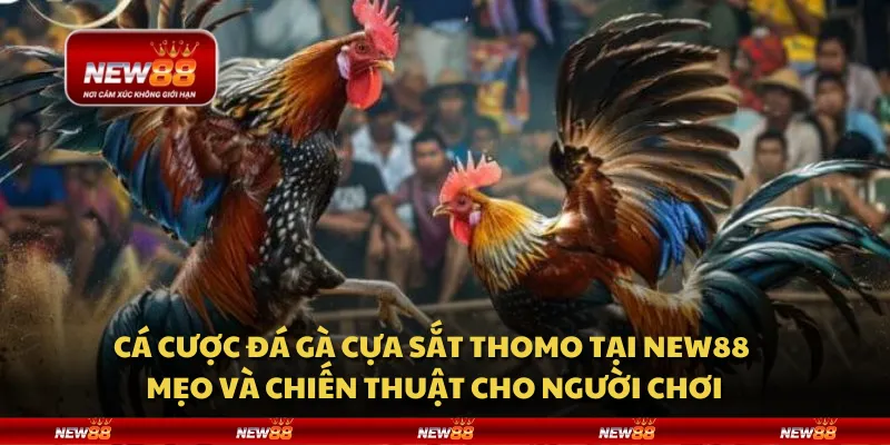 Cách chọn kèo thơm - Bí quyết thắng lớn từ chuyên gia 1 Cách chọn kèo thơm - Bí quyết thắng lớn từ chuyên gia