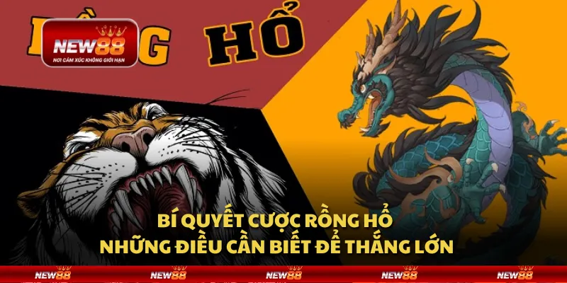 Bí quyết cược Rồng Hổ - Những điều cần biết để thắng lớn 1 Bí quyết cược Rồng Hổ - Những điều cần biết để thắng lớn
