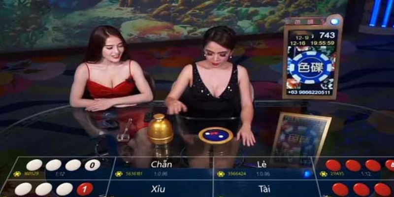 Xóc Đĩa Trực Tuyến - Cách Chơi Và Giành Thưởng Lớn 2 Chơi xóc đĩa trực tuyến cùng nhà cái