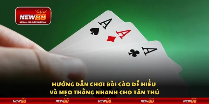 Hướng dẫn chơi bài cào dễ hiểu và mẹo thắng nhanh cho tân thủ