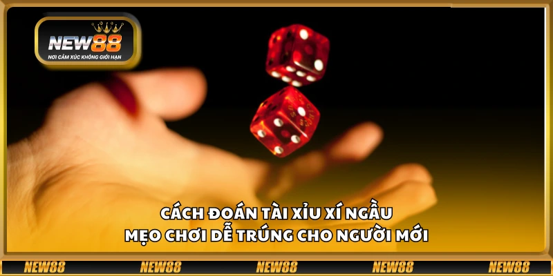 Cách đoán Tài Xỉu Xí Ngầu – Mẹo chơi dễ trúng cho người mới 1 Cách đoán Tài Xỉu Xí Ngầu – Mẹo chơi dễ trúng cho người mới