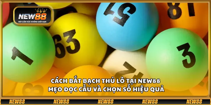 Cách bắt bạch thủ lô tại New88 – Mẹo đọc cầu và chọn số hiệu quả 1 Cách bắt bạch thủ lô tại New88 – Mẹo đọc cầu và chọn số hiệu quả