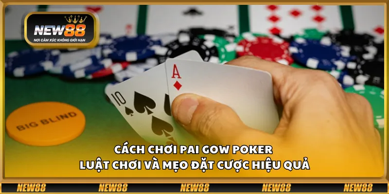 Cách chơi Pai Gow Poker – Luật chơi và mẹo đặt cược hiệu quả