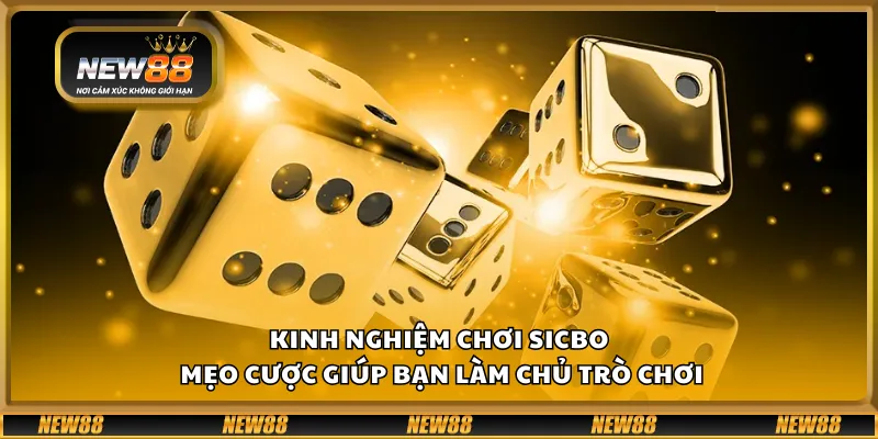 Kinh nghiệm chơi Sicbo – Mẹo cược giúp bạn làm chủ trò chơi 1 Kinh nghiệm chơi Sicbo – Mẹo cược giúp bạn làm chủ trò chơi