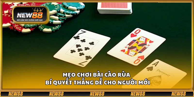 Mẹo chơi bài cào rùa – Bí quyết thắng dễ cho người mới