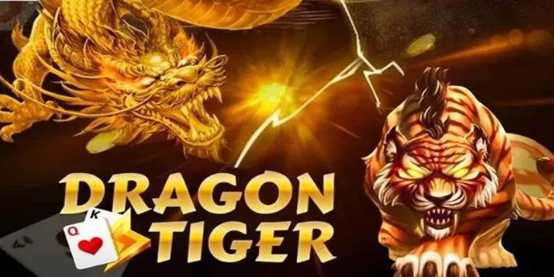 Các bí quyết chơi Rồng Hổ mà người chơi kỳ cựu thường áp dụng là gì?